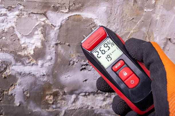 Best Mold Testing and Inspection Services in Edgecliff Village, TX