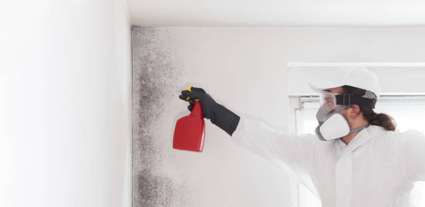 Best HVAC Mold Remediation in Edgecliff Village, TX